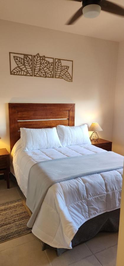 Suites Lomboy & Plaza San José del Cabo Exteriör bild